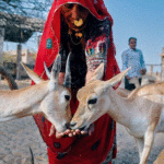 बिश्नोई समाज से क्या सीख सकते हैं