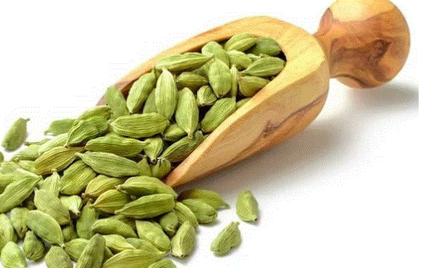 ilaychi - इलायची न केवल मसाला , बल्कि एक शक्तिशाली प्राकृतिक औषधि भी