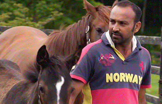 Japan Hourse - जापान में घोड़ों को दौड़ के लिए तैयार करने में सफल भारतीय कर्मचारी