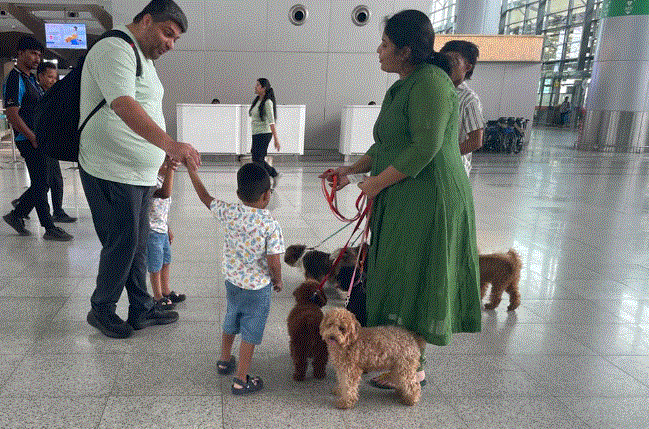 hydrabad - यात्रियों में टेंशन करने के लिए हैदराबाद हवाई अड्डे पर थेरेपी डॉगस ,दुनिया में पहला प्रयोग
