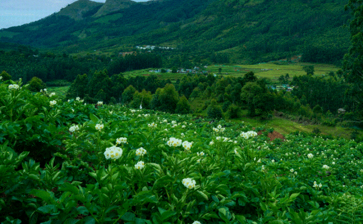 kanthalloor 730x452 - कांथालूर : केरल का कश्मीर