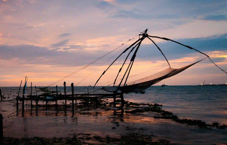 KERALA2 730x467 - केरल को “God’s Own Country” क्यों कहा जाता है ?